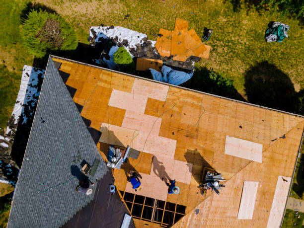 Best Residential Roofing Contractor  in Long Branch, VA
