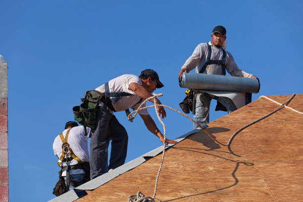 Best Flat Roof Repair Services  in Long Branch, VA