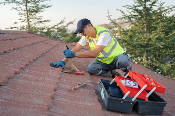 Best Affordable Roof Replacement  in Long Branch, VA