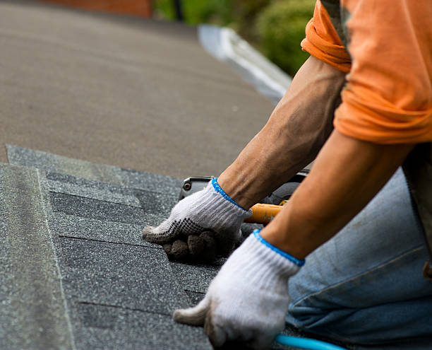 Best Commercial Roofing Services  in Long Branch, VA