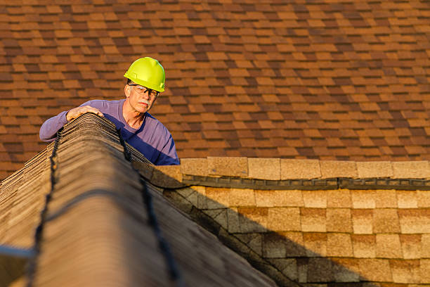 Best Roof Leak Repair  in Long Branch, VA