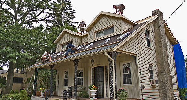 Best New Roof Installation  in Long Branch, VA