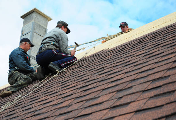 Best Roof Maintenance Services  in Long Branch, VA