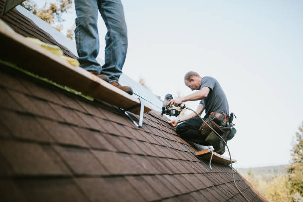 Best Roof Repair Services  in Long Branch, VA